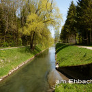 der Frühling schreitet voran