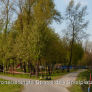 Coronabedingte Sperre des Spielplatzes.jpg