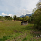 im Ried  1.jpg