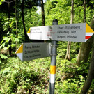 LOCHAU IMAGE Symbolfotos copy SCHALLERT _17_.JPG