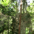 LOCHAU IMAGE Symbolfotos copy SCHALLERT _16_.JPG