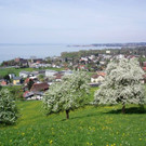 LOCHAU IMAGE Symbolfotos copy SCHALLERT _21_.jpg