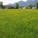 P5042720.JPG