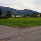 P7055491.JPG