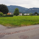 P7055494.JPG