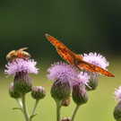 jeder findet etwas.jpg