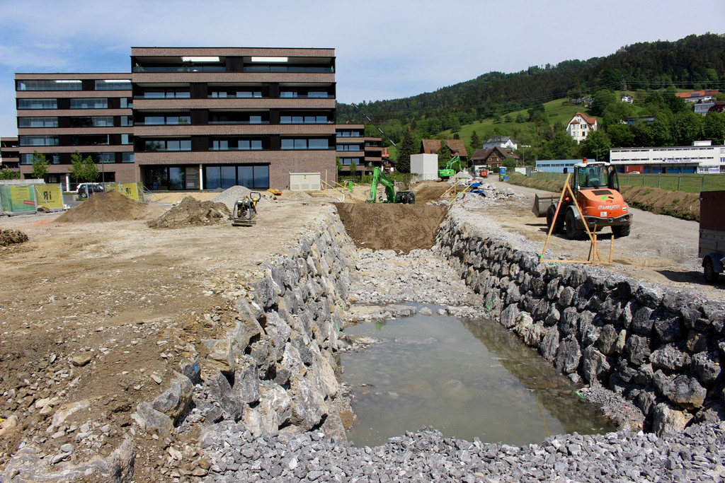 Kugelbeerbach Hochwasserschutz BF B DAMM unten 05-05-2020 _1_.JPG