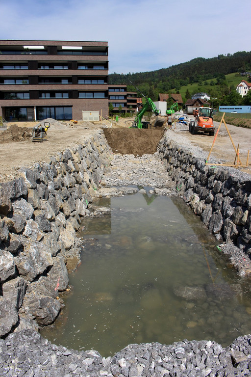 Kugelbeerbach Hochwasserschutz BF B DAMM unten 05-05-2020 _2_.JPG
