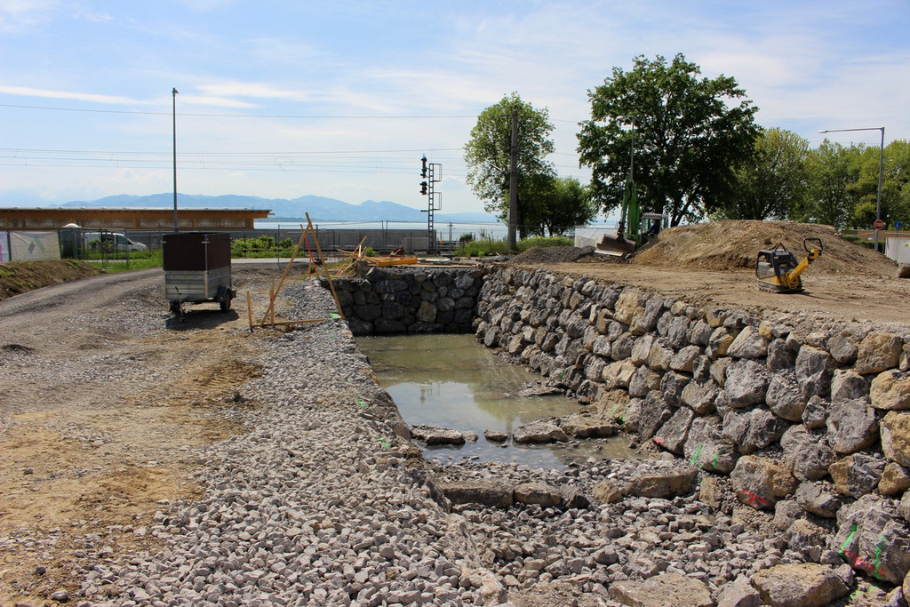Kugelbeerbach Hochwasserschutz BF B DAMM unten 05-05-2020 _5_.JPG