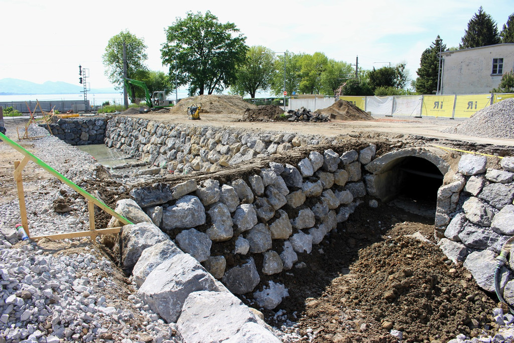 Kugelbeerbach Hochwasserschutz BF B DAMM unten 05-05-2020 _13_.JPG