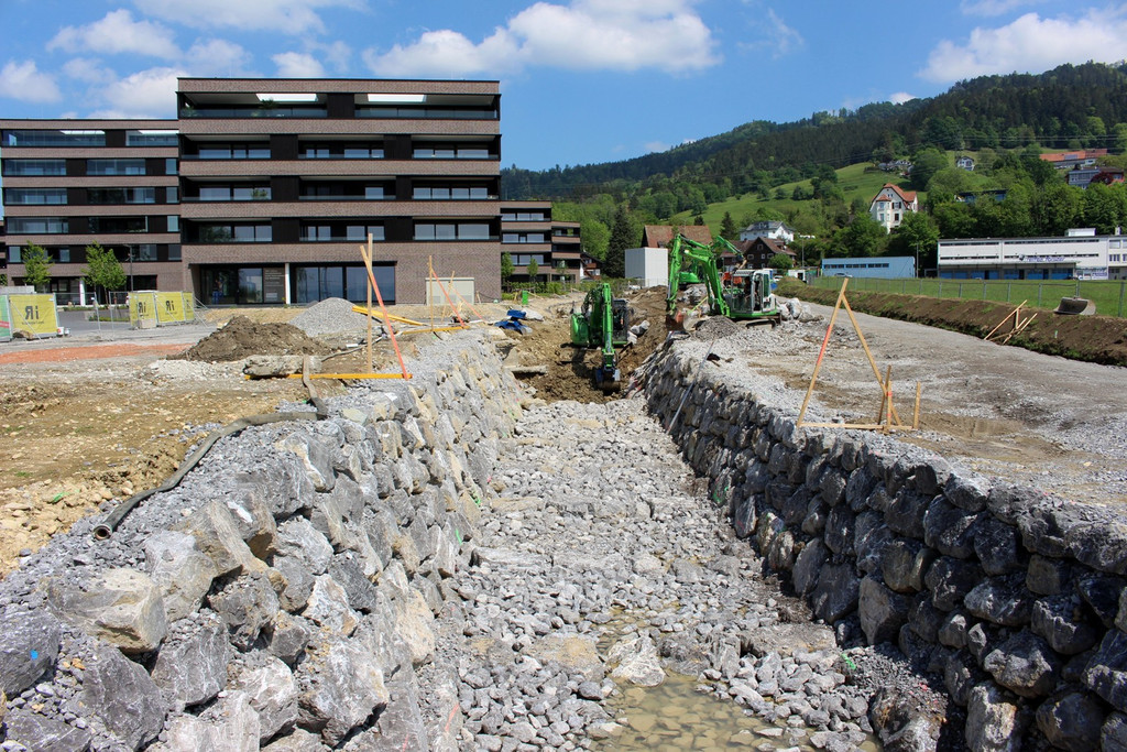 Kugelbeerbach Hochwasserschutz BF B DAMM unten 05-05-2020 _14_.JPG
