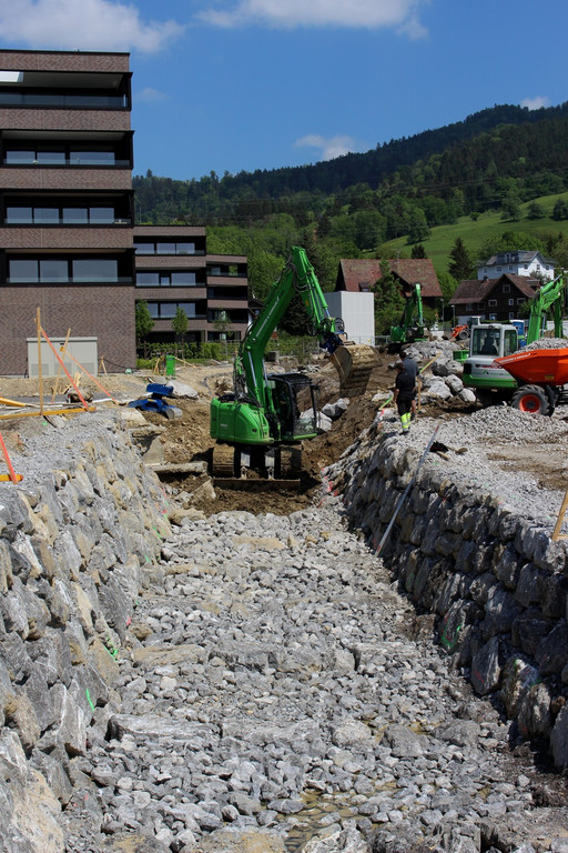 Kugelbeerbach Hochwasserschutz BF B DAMM unten 05-05-2020 _15_.JPG