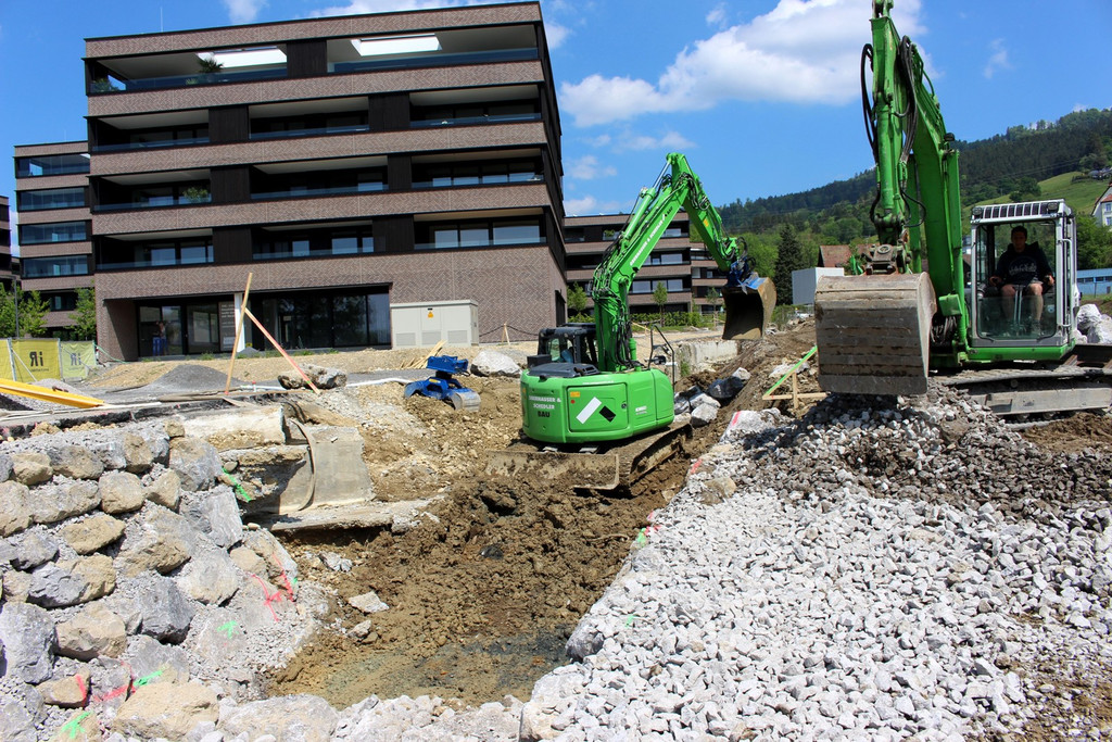 Kugelbeerbach Hochwasserschutz BF B DAMM unten 05-05-2020 _17_.JPG