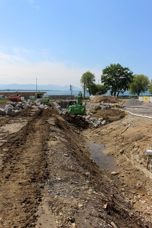 Kugelbeerbach Hochwasserschutz BF B DAMM unten 05-05-2020 _19_.JPG