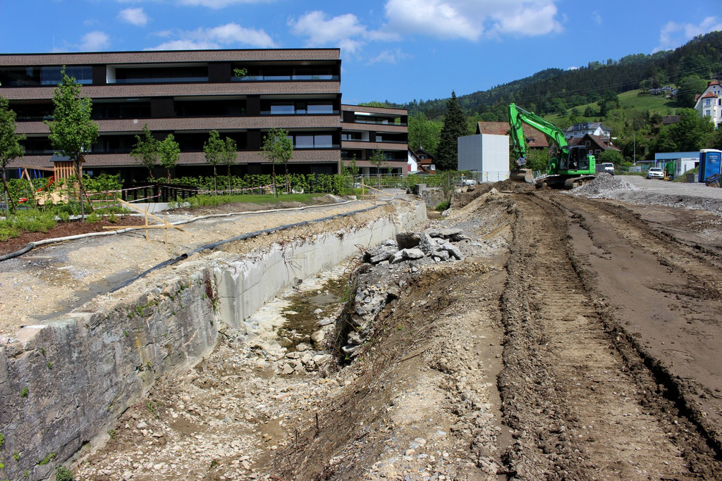 Kugelbeerbach Hochwasserschutz BF B DAMM unten 05-05-2020 _20_.JPG
