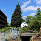 Kugelbeerbach Hochwasserschutz BF B DAMM unten 05-05-2020 _21_.JPG