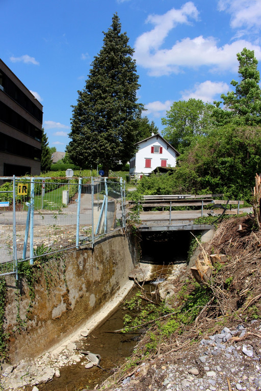 Kugelbeerbach Hochwasserschutz BF B DAMM unten 05-05-2020 _21_.JPG