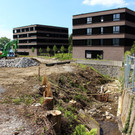 Kugelbeerbach Hochwasserschutz BF B DAMM unten 05-05-2020 _22_.JPG