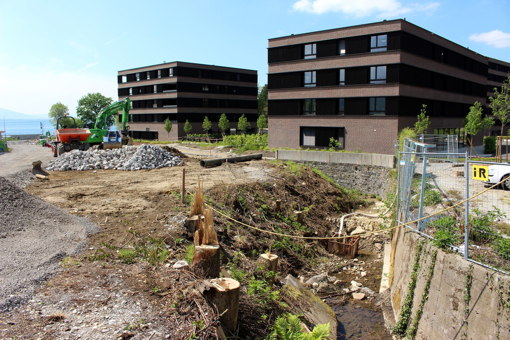 Kugelbeerbach Hochwasserschutz BF B DAMM unten 05-05-2020 _25_.JPG