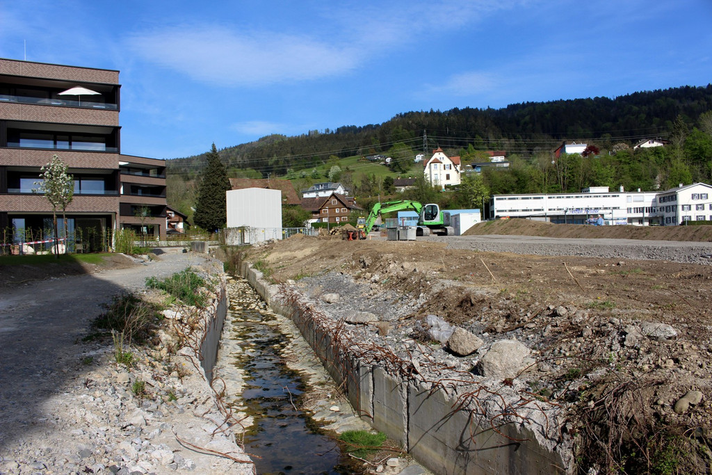 Kugelbeerbach Hochwasserschutz BF B DAMM unten 05-05-2020 _26_.JPG