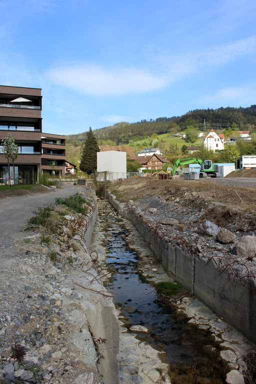Kugelbeerbach Hochwasserschutz BF B DAMM unten 05-05-2020 _27_.JPG