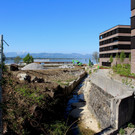 Kugelbeerbach Hochwasserschutz BF B DAMM unten 05-05-2020 _30_.JPG