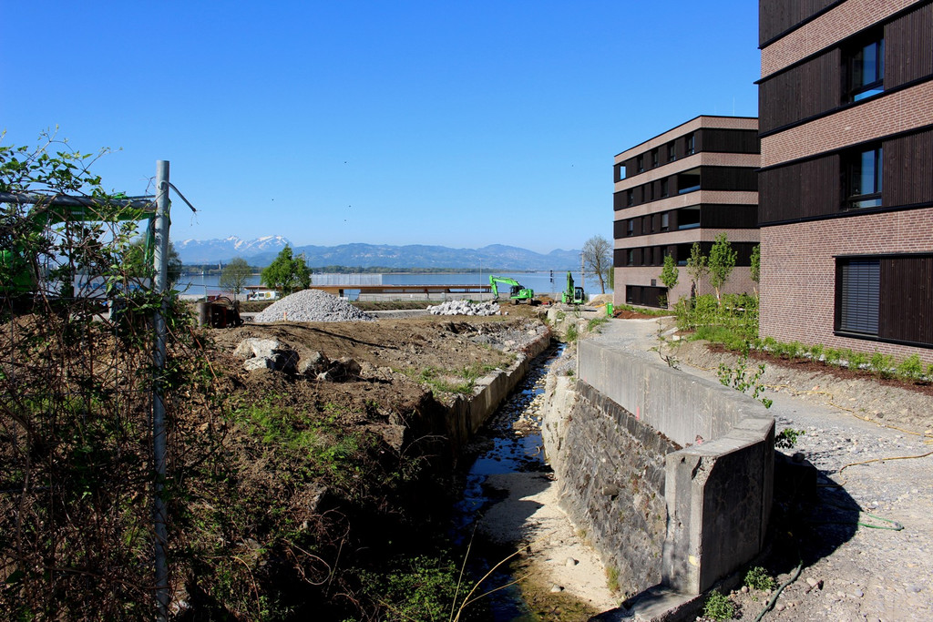 Kugelbeerbach Hochwasserschutz BF B DAMM unten 05-05-2020 _30_.JPG