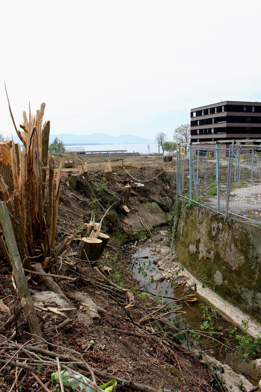 Kugelbeerbach Hochwasserschutz BF B DAMM unten 05-05-2020 _32_.JPG