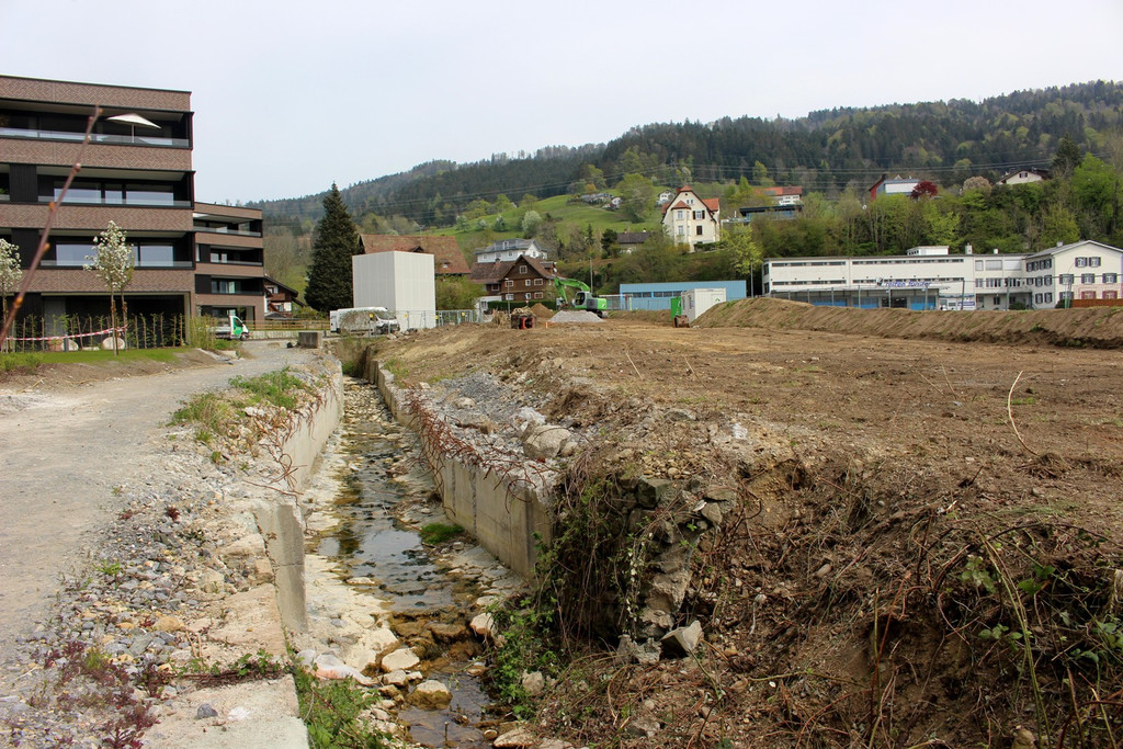 Kugelbeerbach Hochwasserschutz BF B DAMM unten 05-05-2020 _34_.JPG