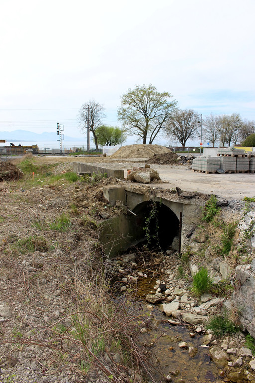 Kugelbeerbach Hochwasserschutz BF B DAMM unten 05-05-2020 _35_.JPG