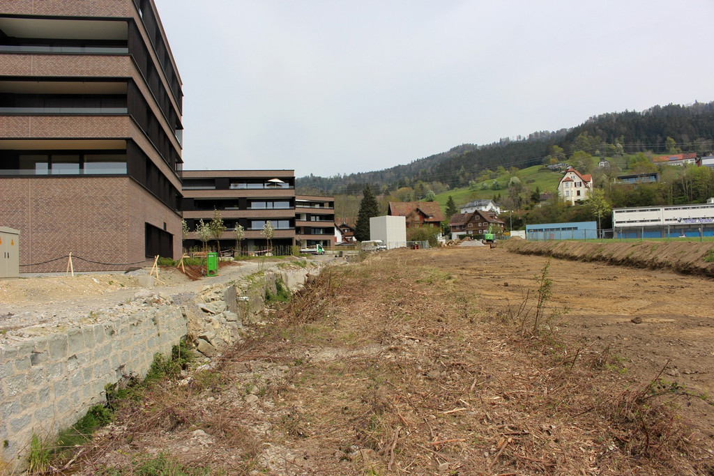 Kugelbeerbach Hochwasserschutz BF B DAMM unten 05-05-2020 _36_.JPG