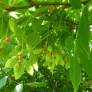 P1250140.JPG