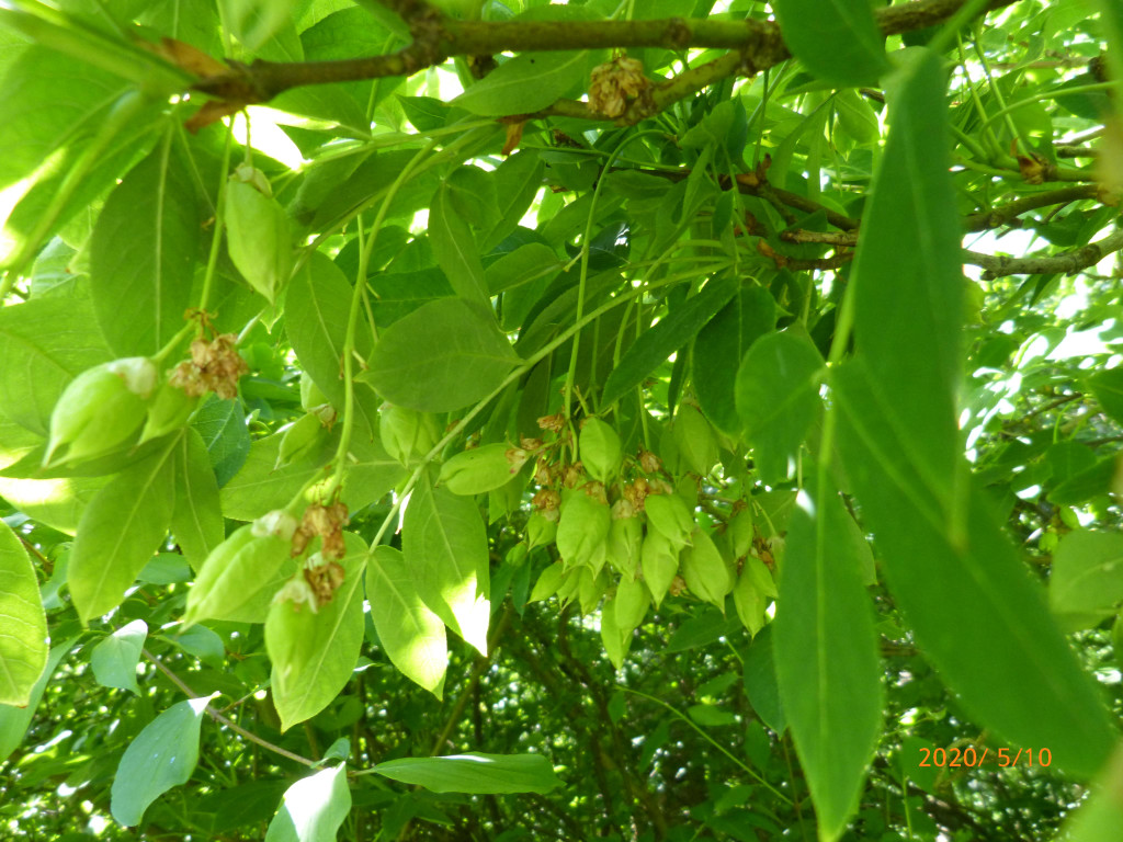 P1250140.JPG