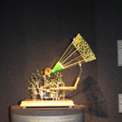 IMG_8760.JPG
