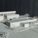 P8.jpg
