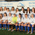 FFC 1b 16-17.png