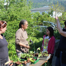 Pflanzentauschb__rse bei MELITTA Sohm 06-05-2020 _2_.JPG