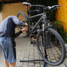 TIMG_9530.JPG