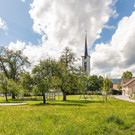 Gr__n- und Bl__hfl__chen __Lukas H__mmerle _22_.jpg