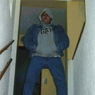 653142.jpg