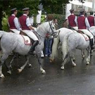 653145.jpg