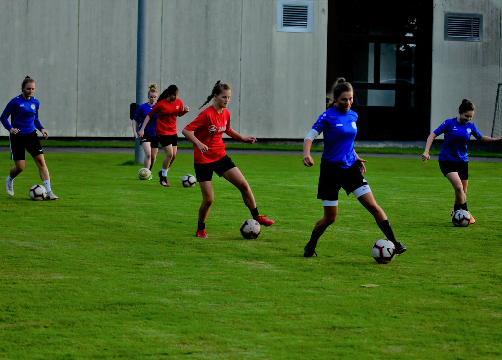 Bild11.JPG