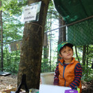 Waldkindergarten Homeoffice 2 n.jpg