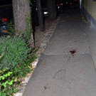 ABD0011-20200521.jpg
