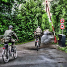 DSC_0831 - Kopie - Kopie.jpg