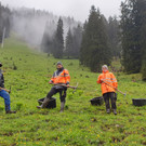 Frühjahrsputz auf der Alpe Vollspora
