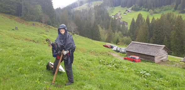 Alpe3.jpg