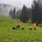 Alpe4.jpg