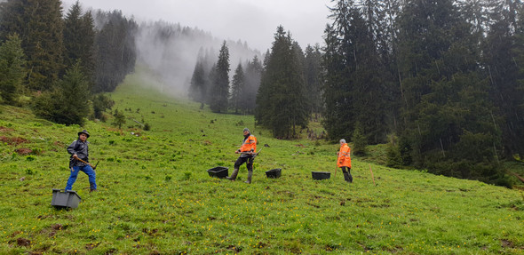 Alpe4.jpg