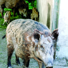 7a.jpg